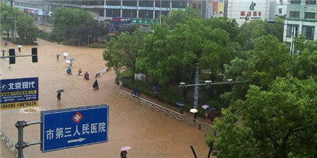 江西连降特大暴雨, 猪场300头猪无师自通游泳逃生