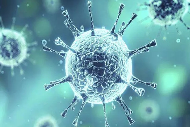 目前有六种冠状病毒能感染人类(图片来源:wam)