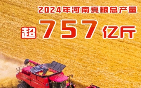 2024年河南夏粮总产量超757亿斤实现增产丰收